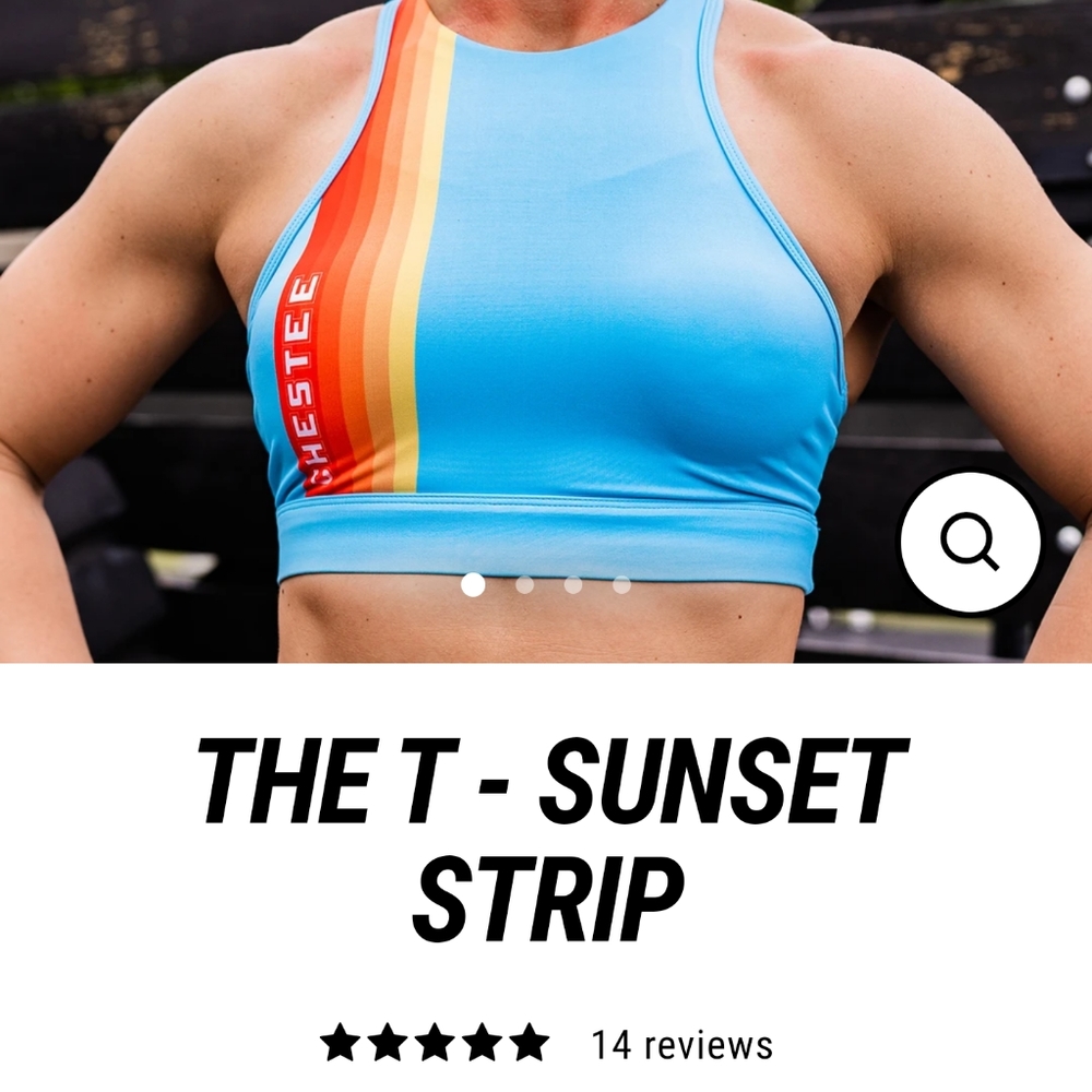 Chestee The T Sunset Strip sports bra